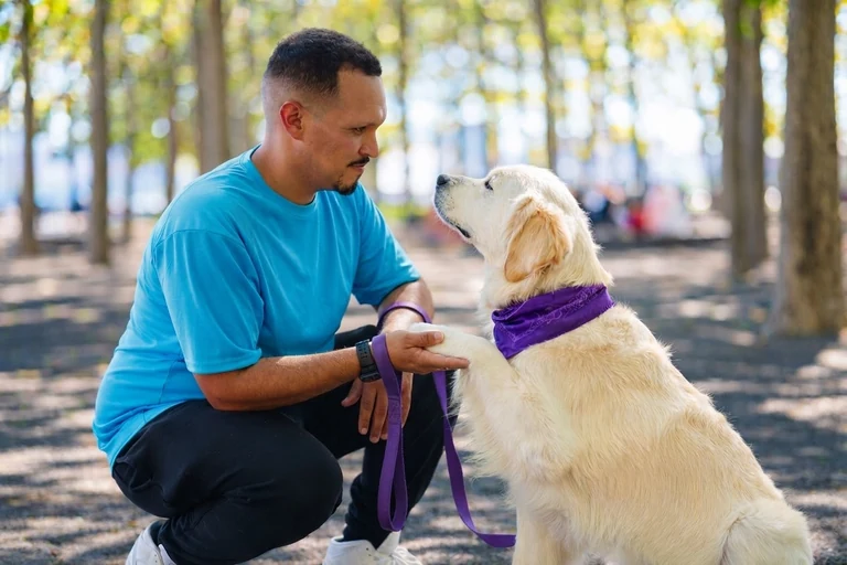 Will shares a quiet moment and a paw with a golden retriever wearing a purple bandana