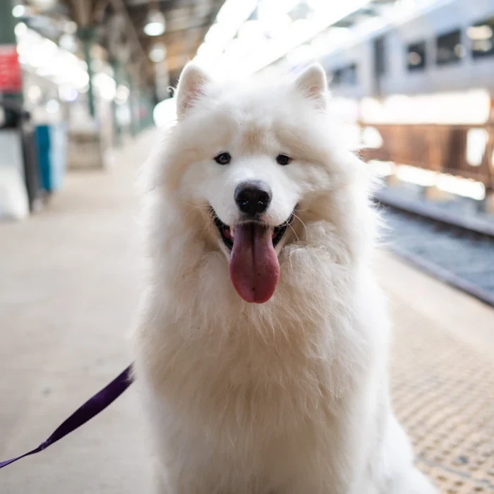 Fitz, a longtime Hoboken friend