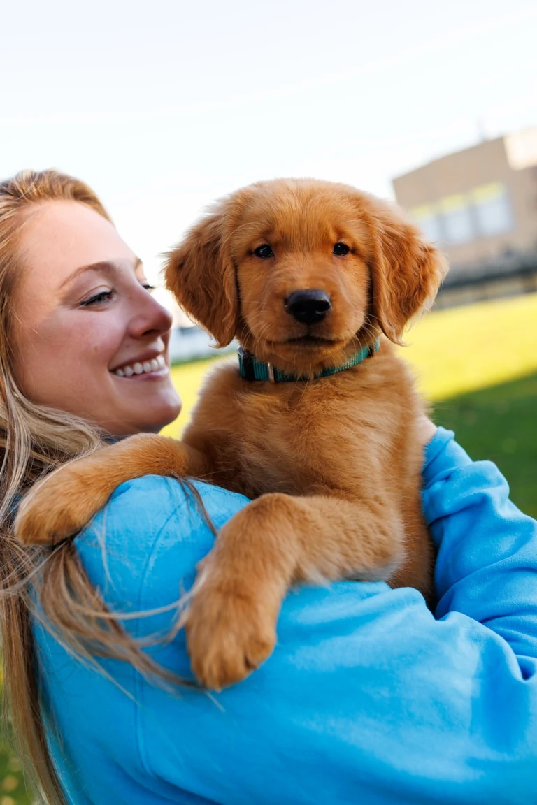 A golden retriever puppy held by a smiling caregiver in an aqua hoodie